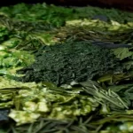İtalyan Usulü Lazanya Tarifi